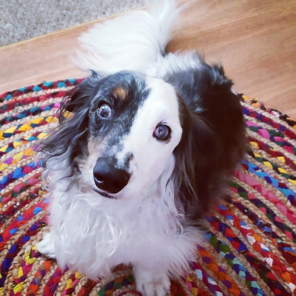 Meet your Posher, Kelly - Picture 3 of 12